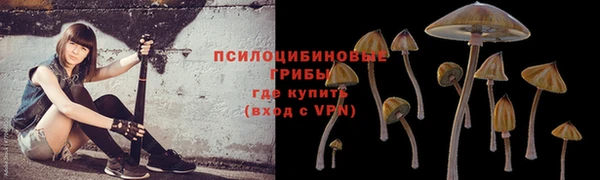 дурь Ахтубинск