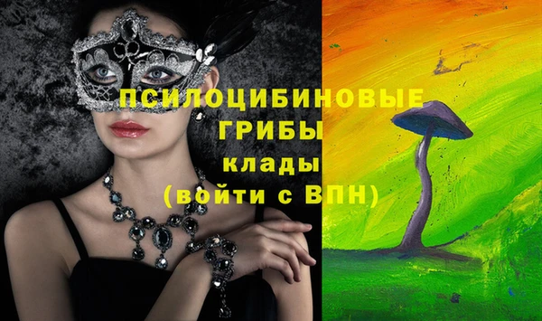 дурь Ахтубинск